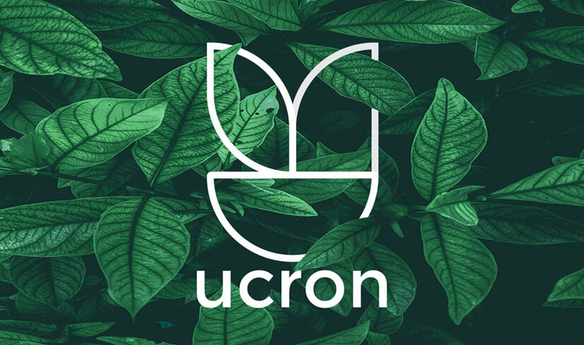 继续预测!2021年品牌 LOGO 设计流行趋势